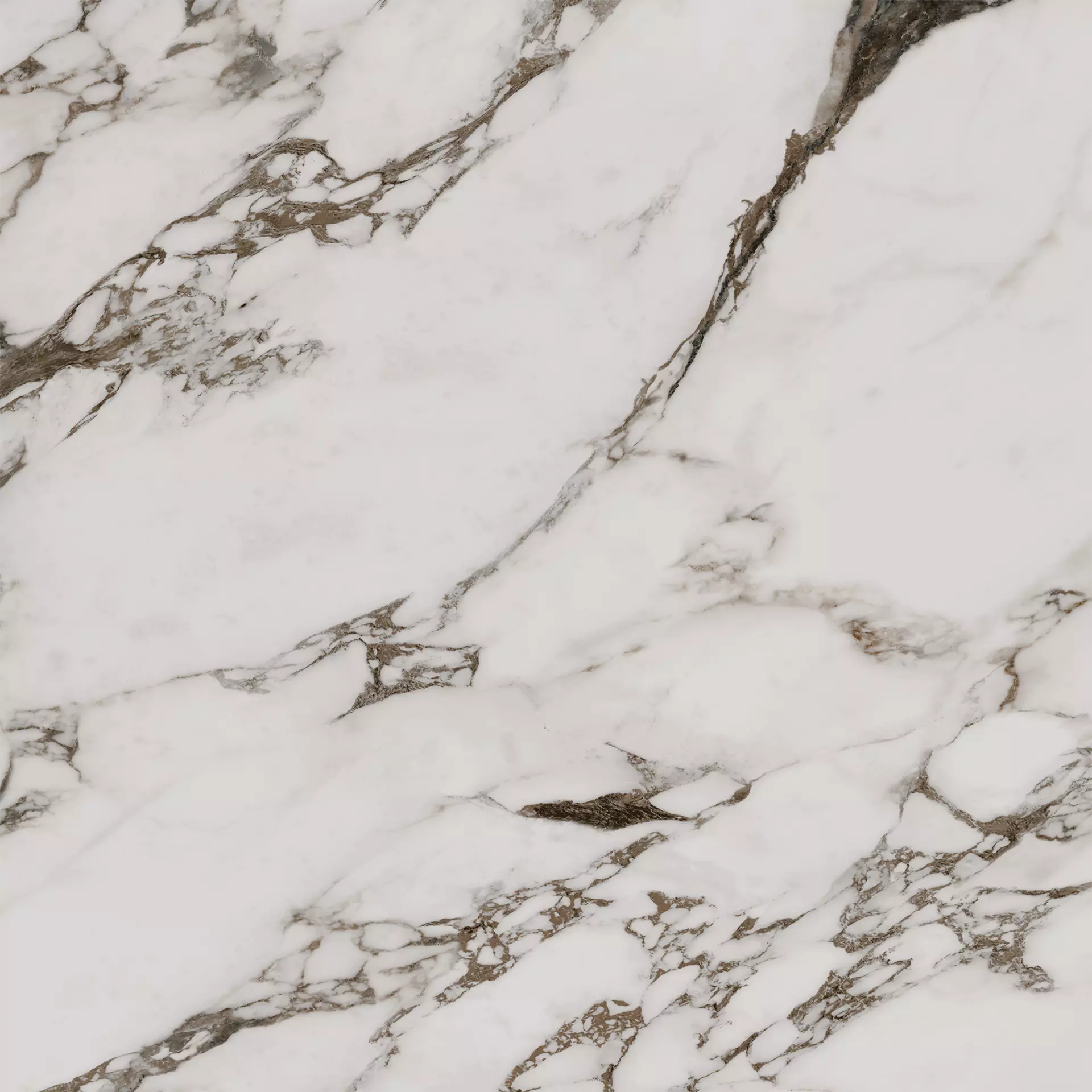 Cerdomus Alma Breccia Capraia Levigato 92438 120x120cm 8,5mm