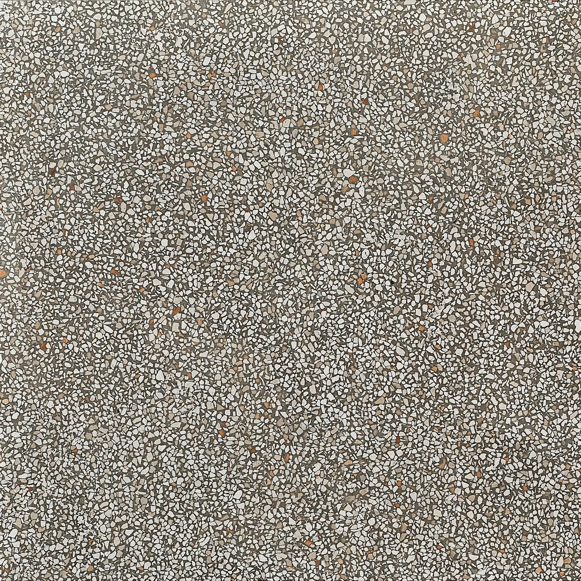 Coem Terrazzo Beton Mini Lucidato TZ600LR 60x60cm rettificato 10mm