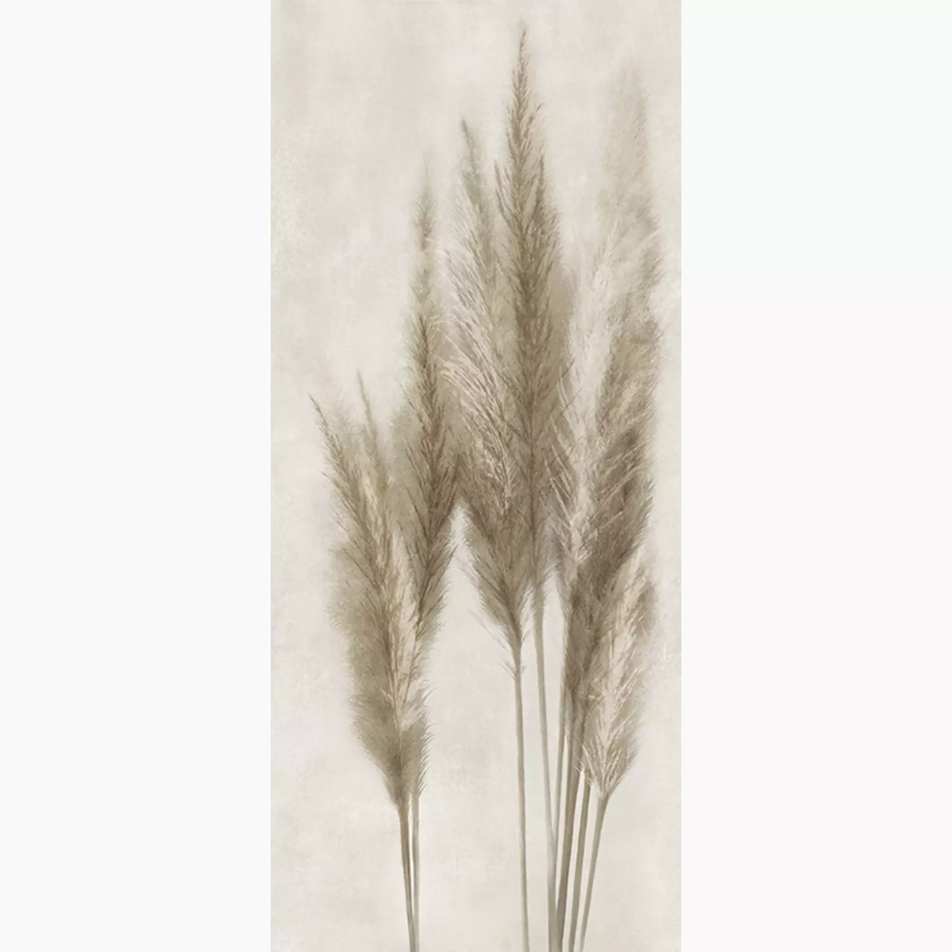 Caesar Deco Solutions Pampa Matt Decoro Face C AGUJ 120x278cm rettificato 6mm