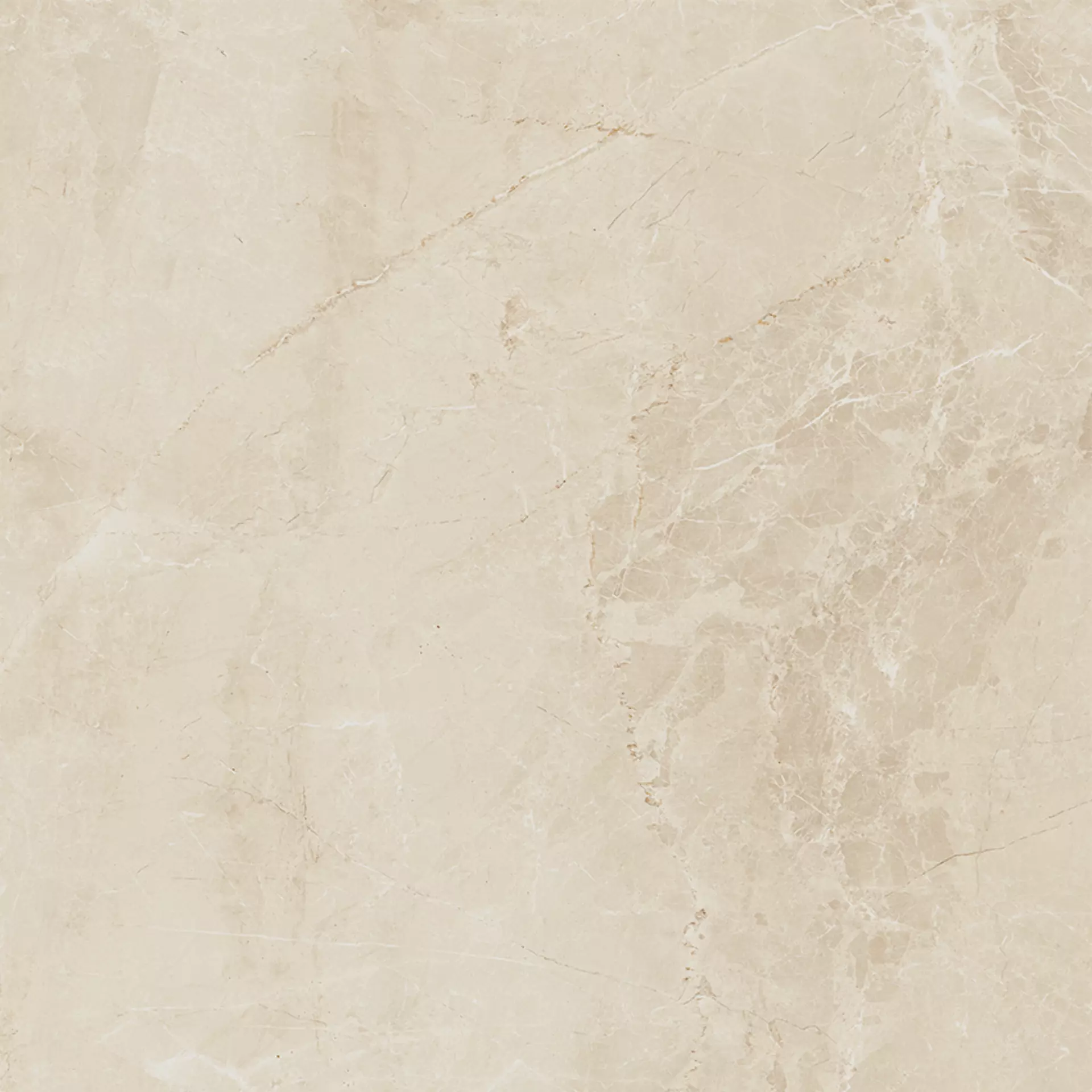 Cerdomus Sybil Beige Levigato 83347 60x60cm rettificato 8,5mm