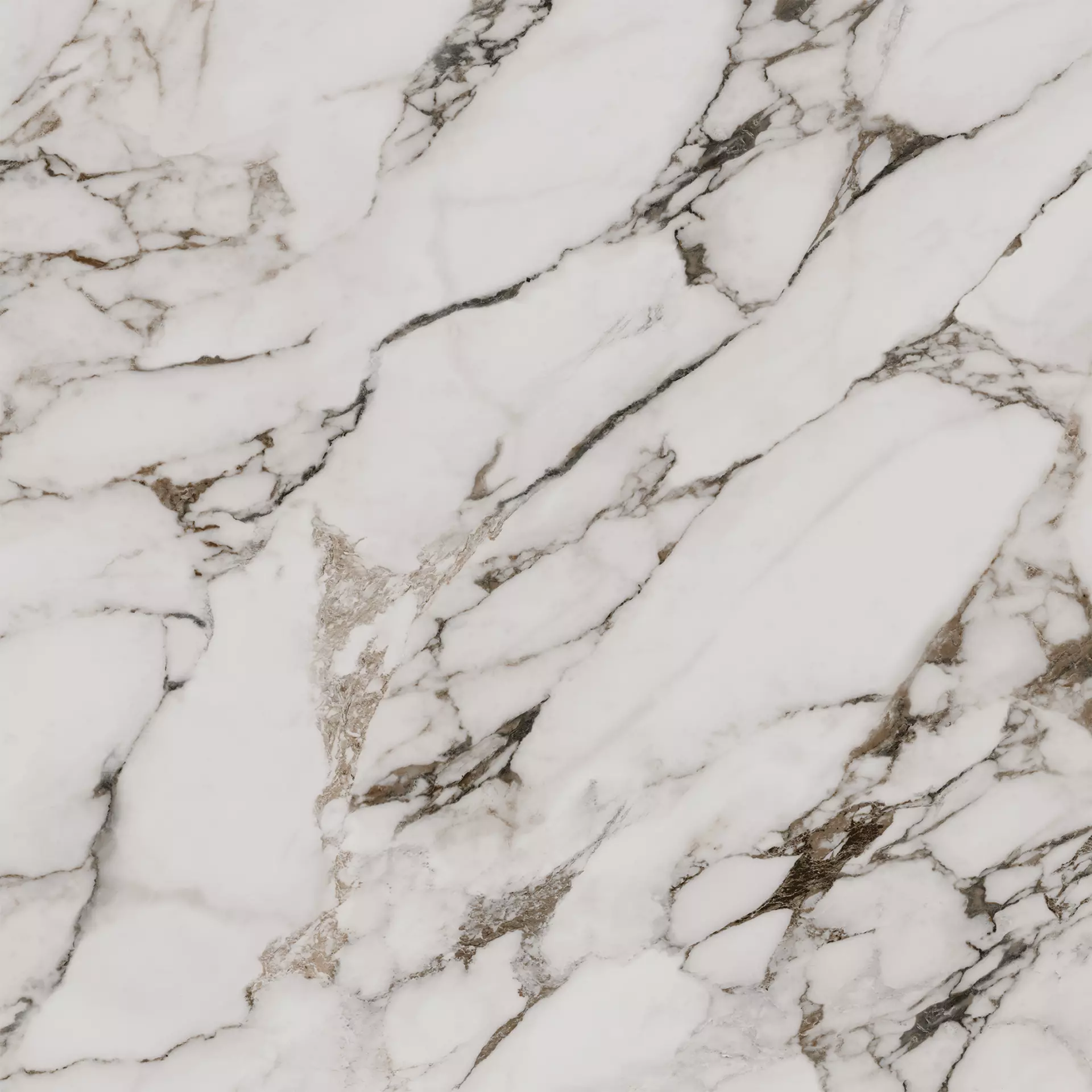 Cerdomus Alma Breccia Capraia Levigato 92438 120x120cm 8,5mm